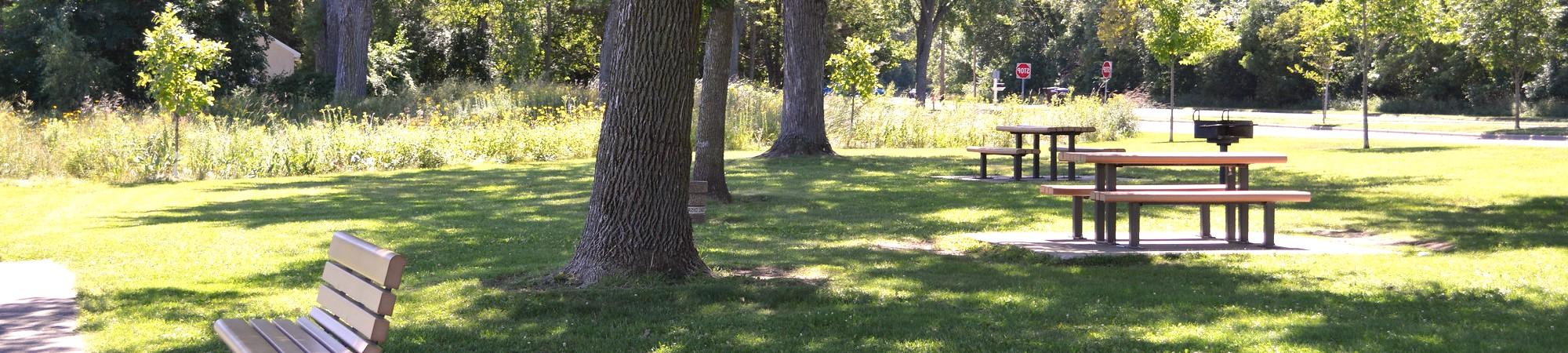 park with benches on a sunny day